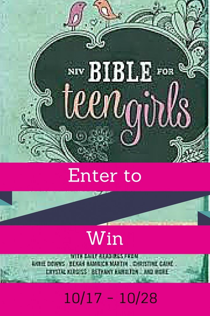 Enter To Win A NIV Teen Bible For Girls