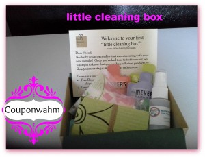 little cleaning box