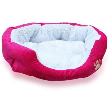 dog bed