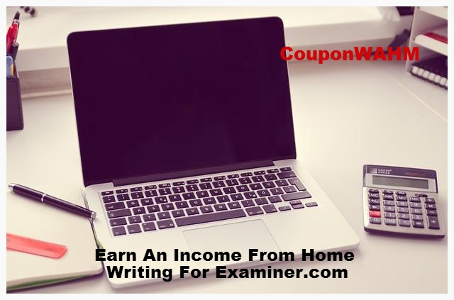 work from home examiner