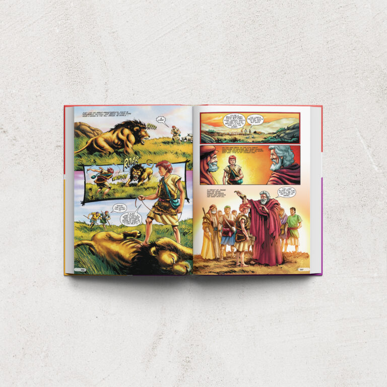 The Action Bible Review #FaithInActionBibleMIN # ...